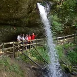 Hotel Alpenrose Gut Schlafen & Fruehstuecken