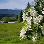 Alpenrose Gut Schlafen & Fruehstuecken Hotel