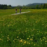 Alpenrose Gut Schlafen & Fruehstuecken Hotel