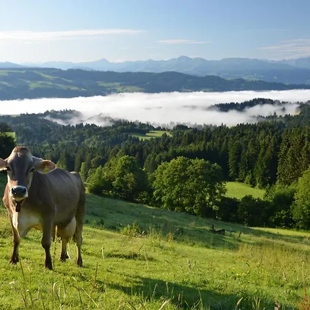 Alpenrose Gut Schlafen & Fruehstuecken 3* Scheidegg