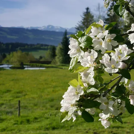 Alpenrose Gut Schlafen & Fruehstuecken Hotel