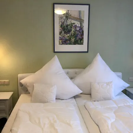 Alpenrose Gut Schlafen & Fruehstuecken Hotel Scheidegg