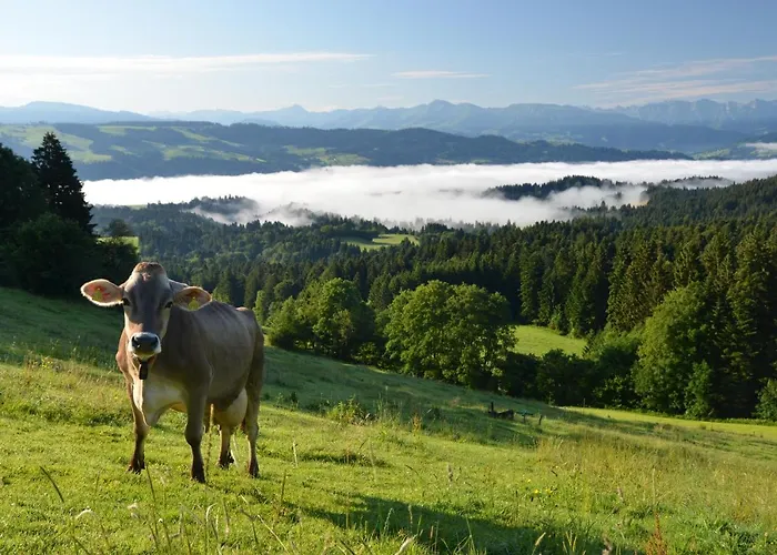 Alpenrose Gut Schlafen & Fruehstuecken 3* Шайдегг