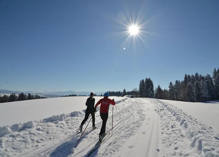 Отель Alpenrose Gut Schlafen & Fruehstuecken 3*