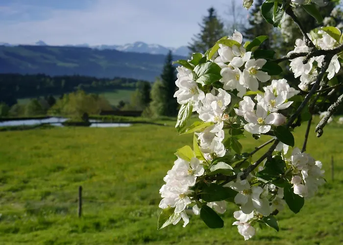 Alpenrose Gut Schlafen & Fruehstuecken Отель