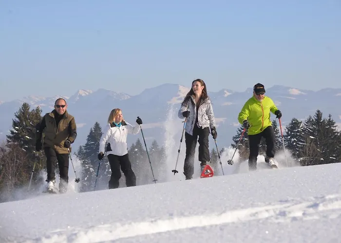 Отель Alpenrose Gut Schlafen & Fruehstuecken Шайдегг
