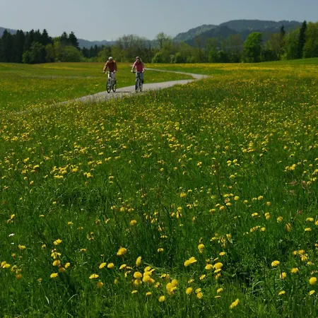 Alpenrose Fam Holzhauer Sen Hotel